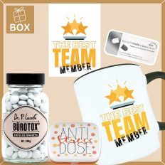 Geschenkbox Mitarbeitergeschenk – „The Best Team – Member“ (Set 5)
