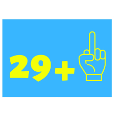 Minicard 29 PLUS